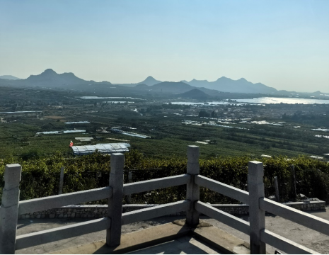 http://www.dyyl588.com平度大澤山葡萄園引進(jìn)萊恩德土壤肥料檢測(cè)儀， 輕松掌握土壤營(yíng)養(yǎng)